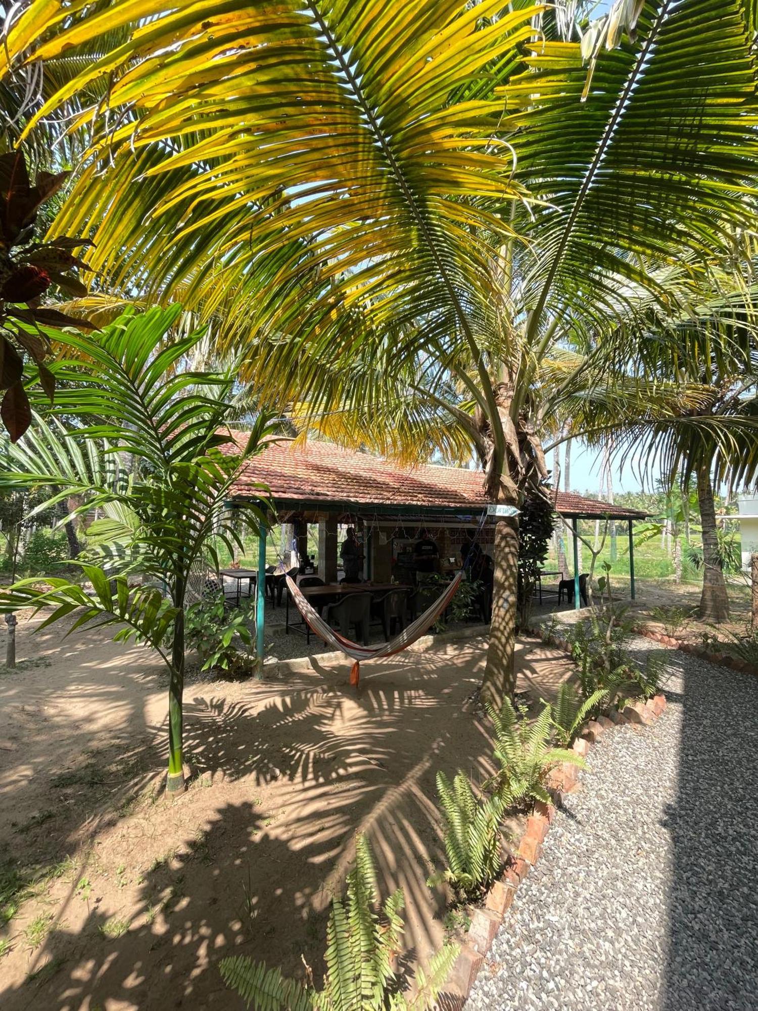 Cliff & Coral Hostel Varkala Kültér fotó