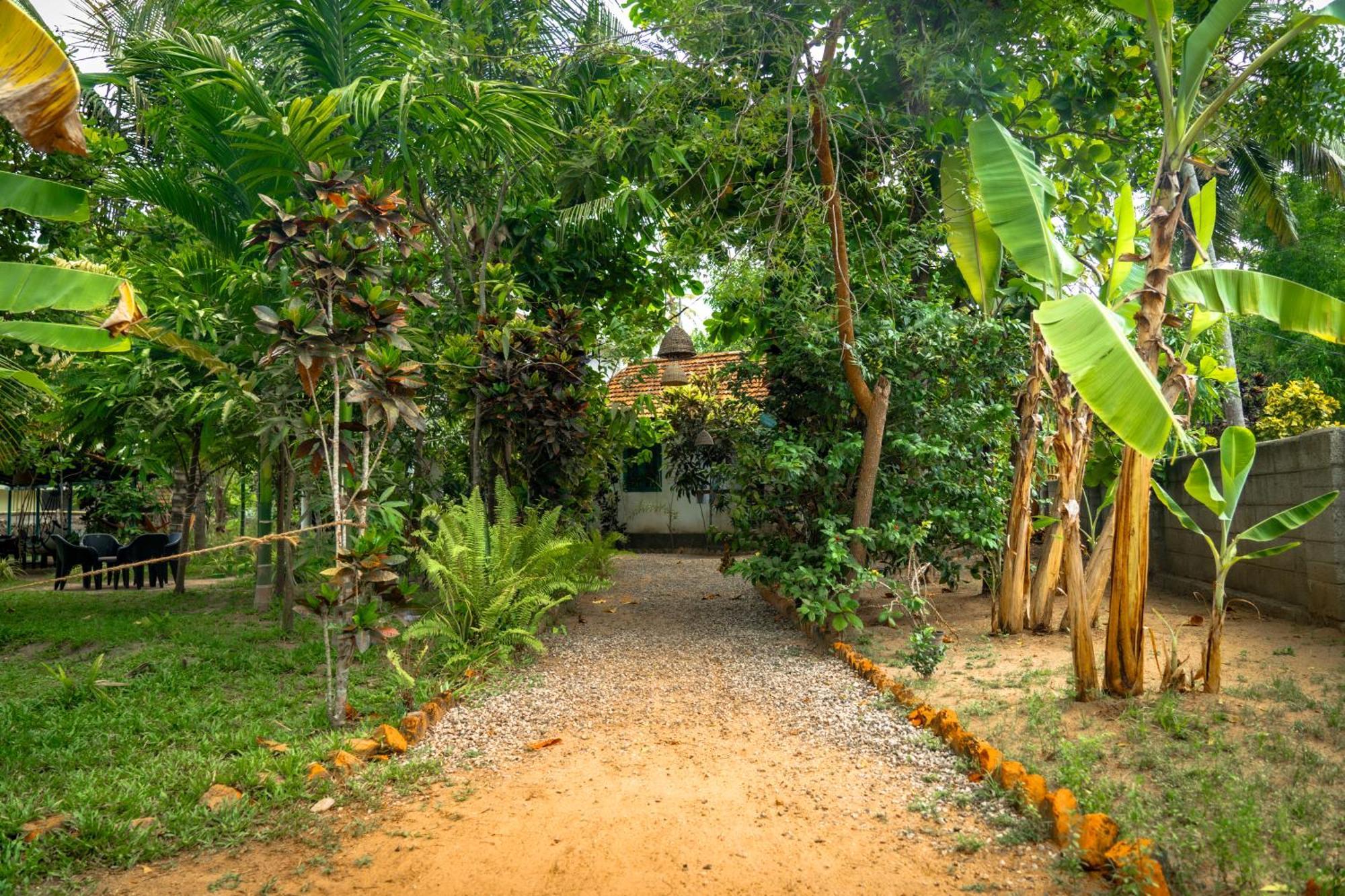 Cliff & Coral Hostel Varkala Kültér fotó